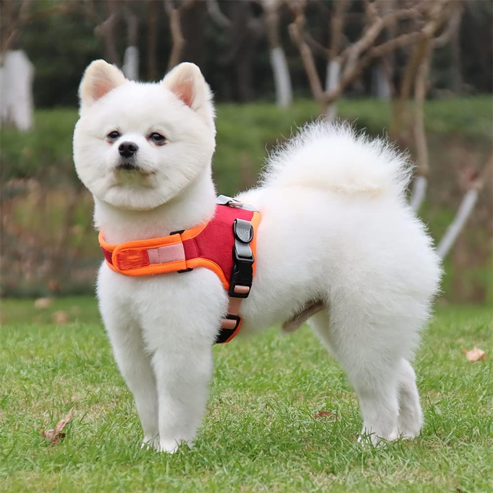 SaddleSoft Pet Harness & Leash Set